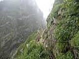 sALbg